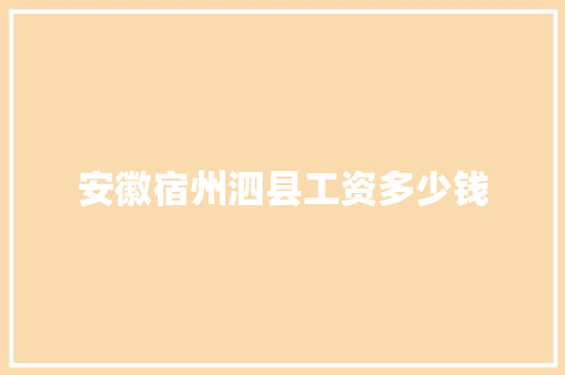 安徽宿州泗县工资多少钱