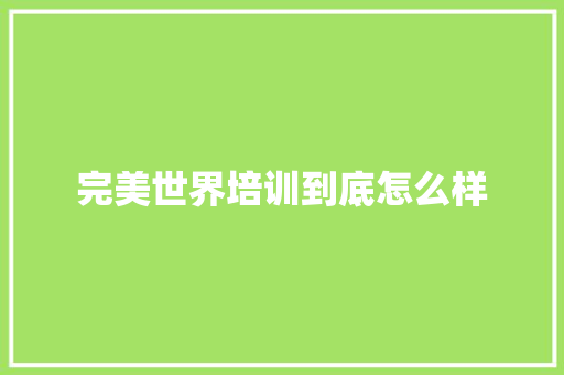 完美世界培训到底怎么样