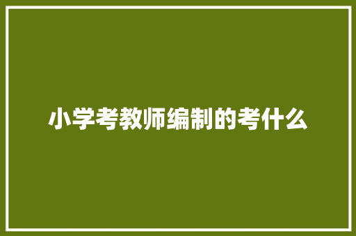 小学考教师编制的考什么