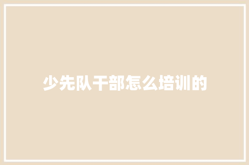 少先队干部怎么培训的