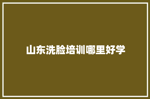 山东洗脸培训哪里好学