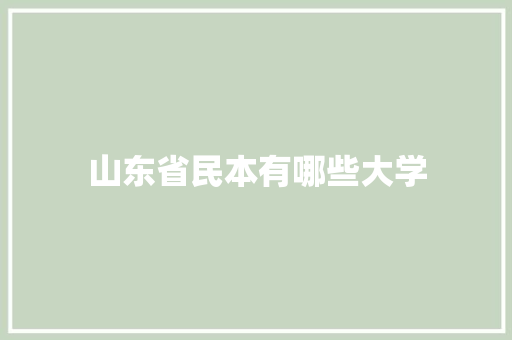 山东省民本有哪些大学