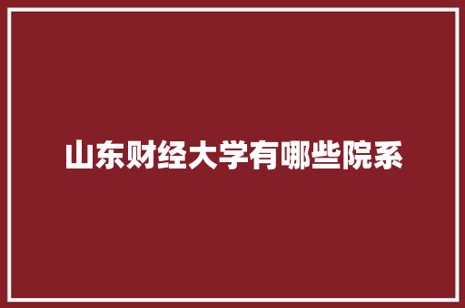 山东财经大学有哪些院系