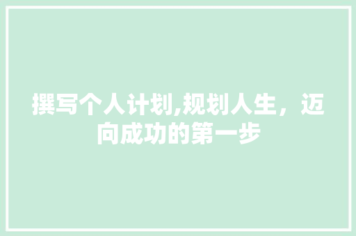 撰写个人计划,规划人生，迈向成功的第一步