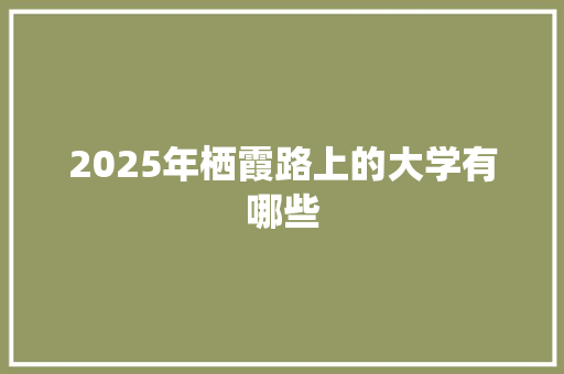 2025年栖霞路上的大学有哪些