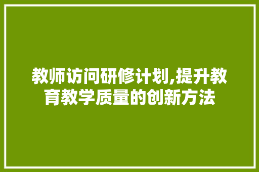 教师访问研修计划,提升教育教学质量的创新方法