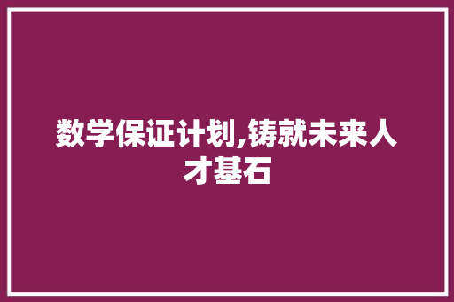 数学保证计划,铸就未来人才基石