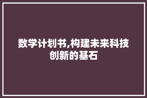 数学计划书,构建未来科技创新的基石