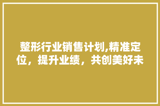 整形行业销售计划,精准定位，提升业绩，共创美好未来