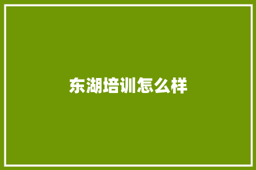 东湖培训怎么样