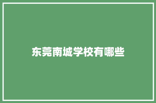 东莞南城学校有哪些
