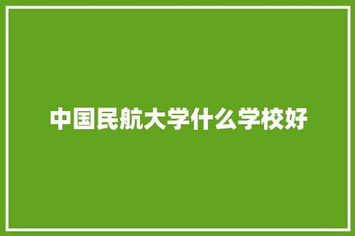 中国民航大学什么学校好
