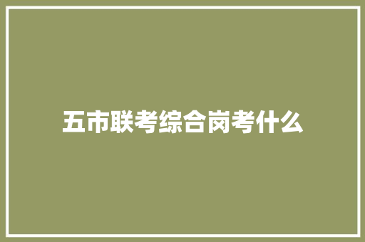 五市联考综合岗考什么