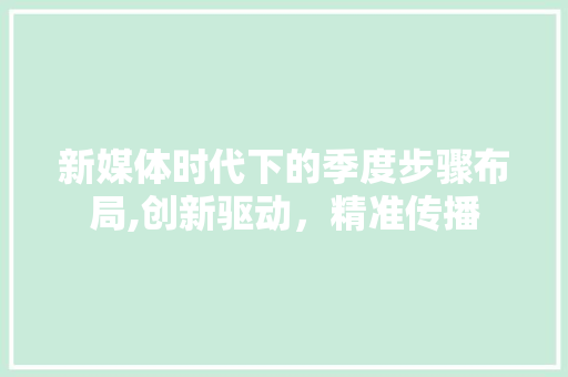 新媒体时代下的季度步骤布局,创新驱动，精准传播
