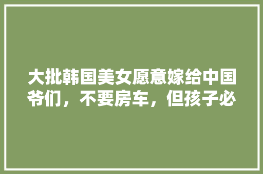 直播新时代,项目直播计划介绍与创新方法