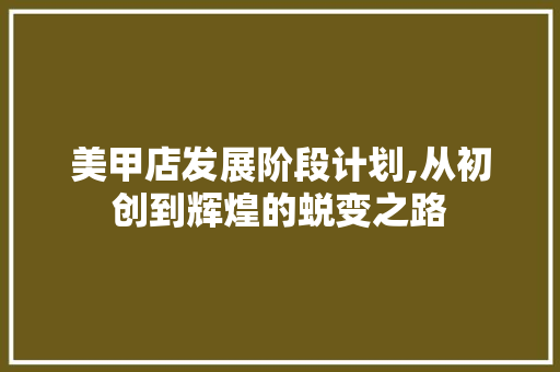 美甲店发展阶段计划,从初创到辉煌的蜕变之路