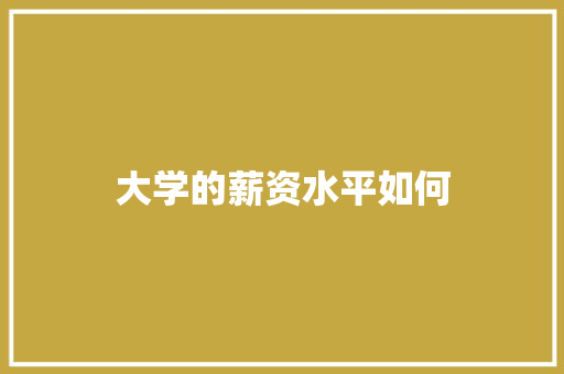 大学的薪资水平如何