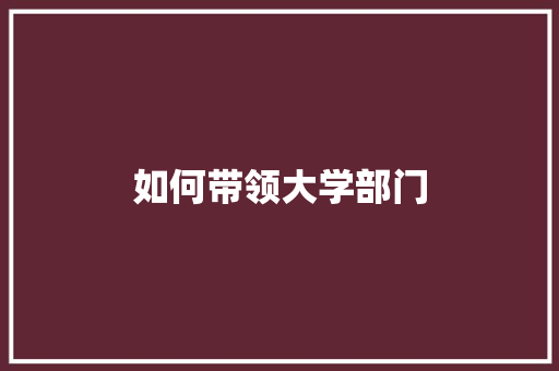 如何带领大学部门