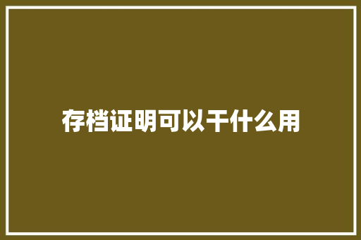 存档证明可以干什么用