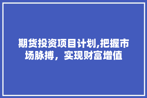 期货投资项目计划,把握市场脉搏，实现财富增值