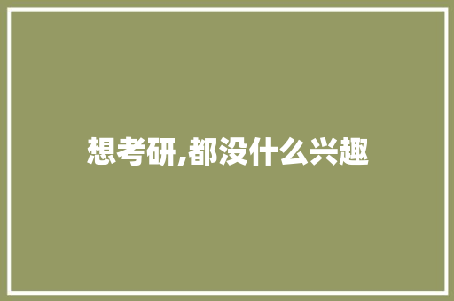 想考研,都没什么兴趣