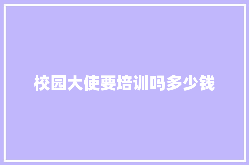 校园大使要培训吗多少钱