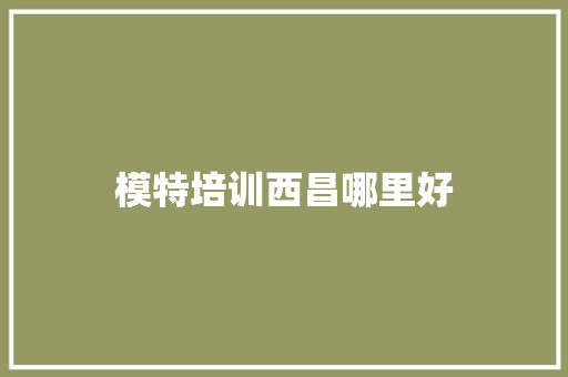 模特培训西昌哪里好