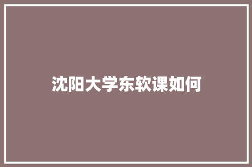 沈阳大学东软课如何