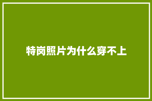 特岗照片为什么穿不上