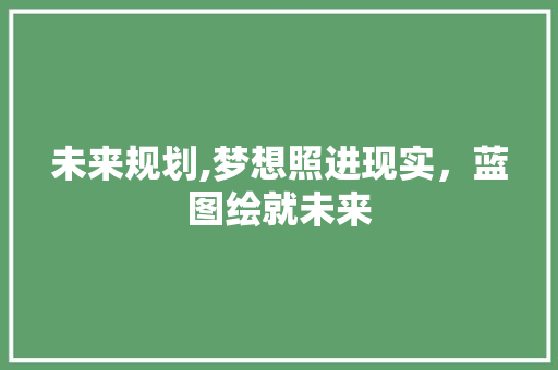 未来规划,梦想照进现实，蓝图绘就未来