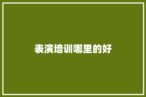 表演培训哪里的好