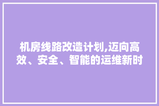 机房线路改造计划,迈向高效、安全、智能的运维新时代 英语单词