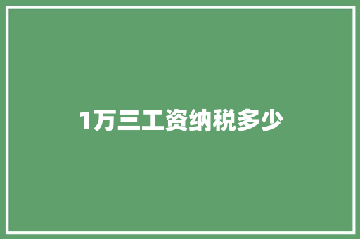 1万三工资纳税多少