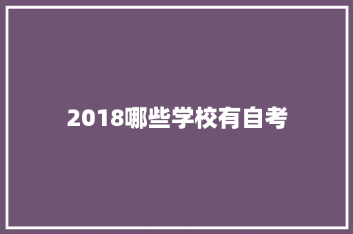 2018哪些学校有自考