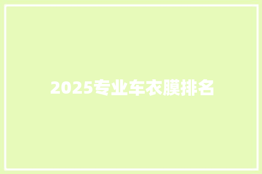 2025专业车衣膜排名
