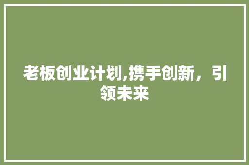 老板创业计划,携手创新，引领未来