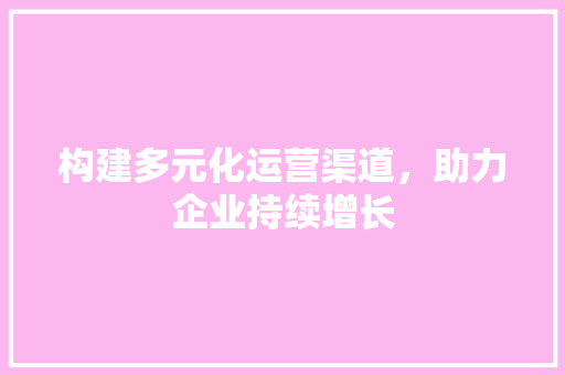 构建多元化运营渠道，助力企业持续增长
