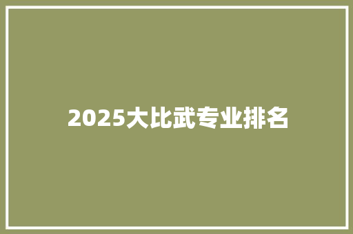 2025大比武专业排名