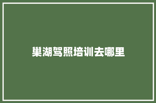 巢湖驾照培训去哪里