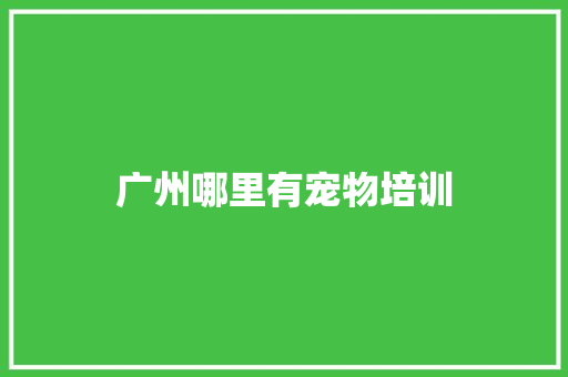 广州哪里有宠物培训