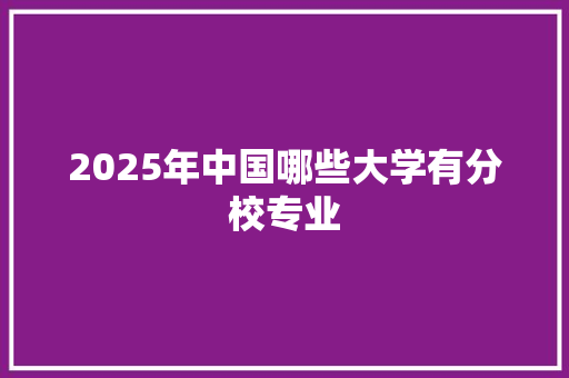 2025年中国哪些大学有分校专业