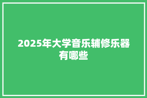 2025年大学音乐辅修乐器有哪些