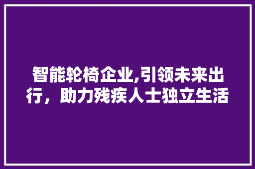 智能轮椅企业,引领未来出行，助力残疾人士独立生活