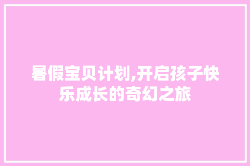 暑假宝贝计划,开启孩子快乐成长的奇幻之旅