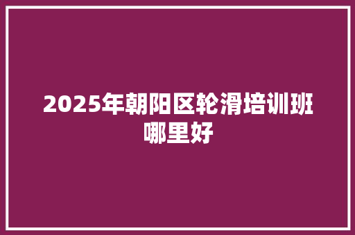 2025年朝阳区轮滑培训班哪里好