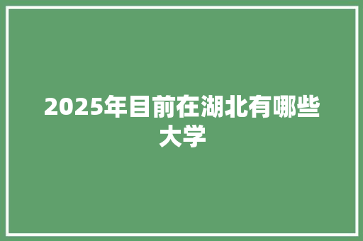 2025年目前在湖北有哪些大学
