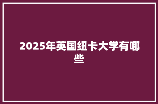 2025年英国纽卡大学有哪些