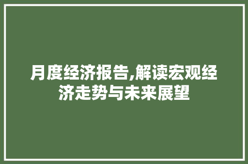 月度经济报告,解读宏观经济走势与未来展望