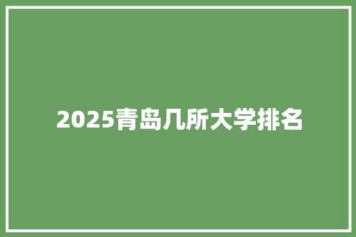2025青岛几所大学排名
