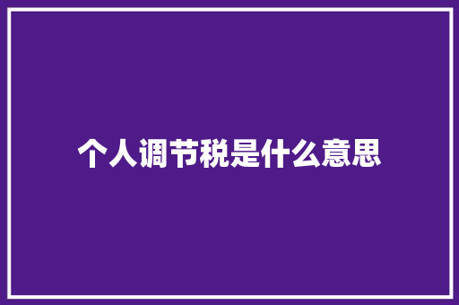 个人调节税是什么意思
